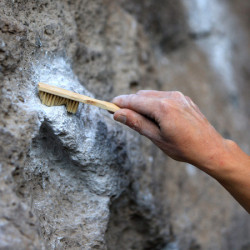 Bamboo Boar's Hair Brush