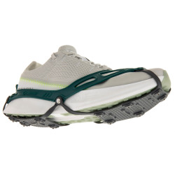 NANOspikes-V2-Olympic Coast