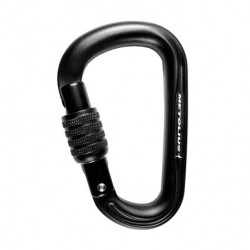 Element Screw Lock/black