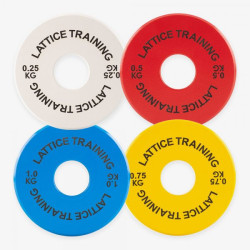 Fractional Weight Plates - Steel Weight Lifting Plates - CTO CN
