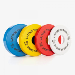 Fractional Weight Plates - Steel Weight Lifting Plates - CTO CN